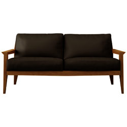 Case Stanley Medium Leather Sofa Mole